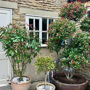 Twin The Anvil Bed & Breakfast Sawdon
